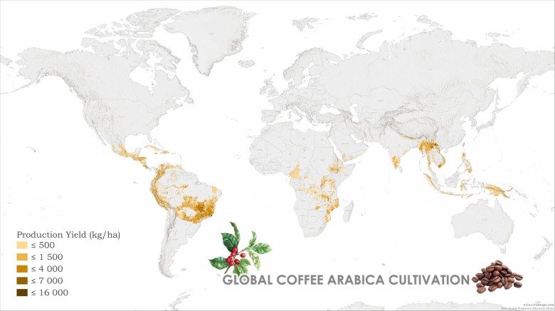 Globalna produkcja kawy arabica