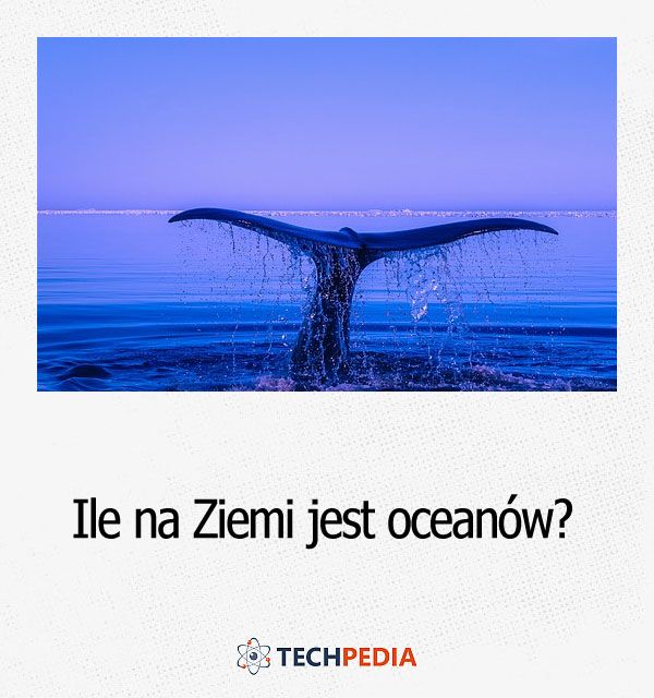 Ile na Ziemi jest oceanów?