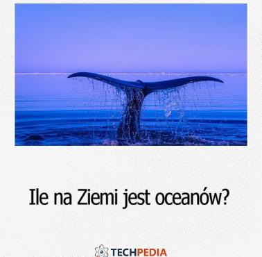 Ile na Ziemi jest oceanów?