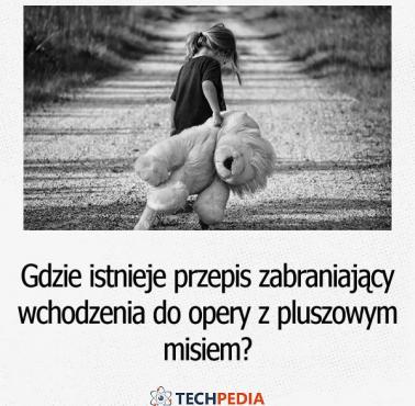 W jakim kraju istnieje przepis zabraniający wchodzenia do opery z pluszowym misiem?