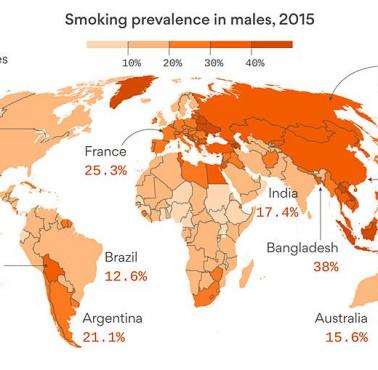 Rozpowszechnienie palenia wśród mężczyzn na świecie (dane 2015)