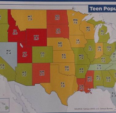 Nastoletnia populacja w USA, 2020