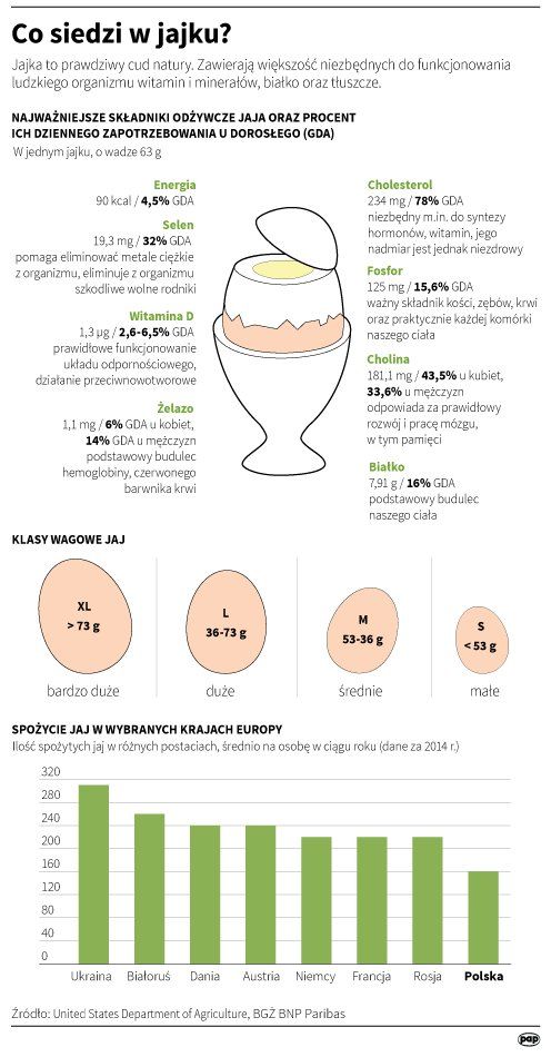 Co siedzi w jajku?