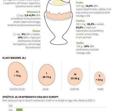 Co siedzi w jajku?