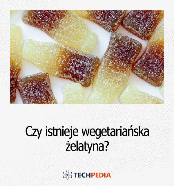 Czy istnieje wegetariańska żelatyna?