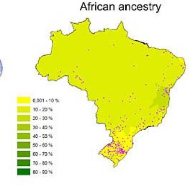 Przodkowie mieszkańców Brazylii
