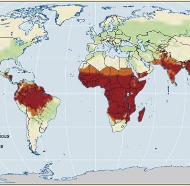 Malaria na świecie