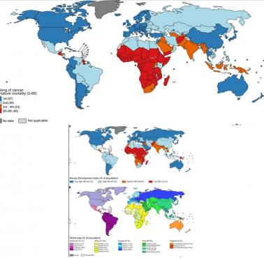 Ranking przedwczesnej umieralności z powodu nowotworów w porównaniu z HDI i odsetekim powierzchni populacji świata, 2022