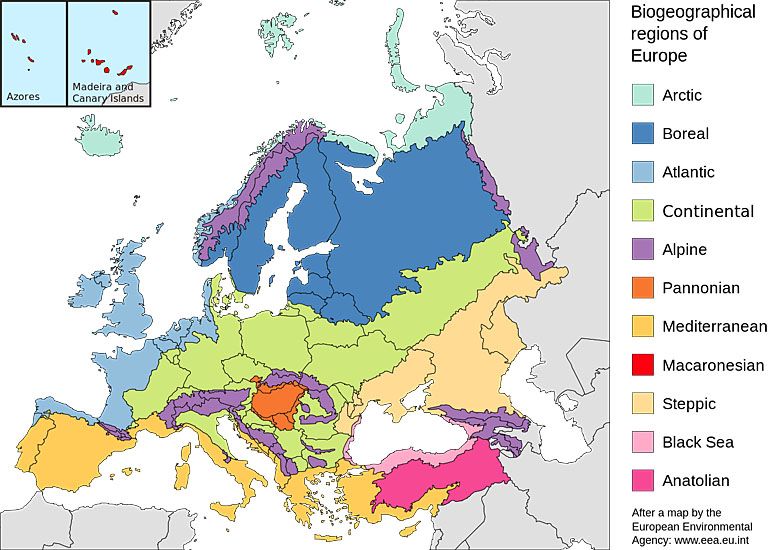 Mapa regionów biogeograficznych Europy