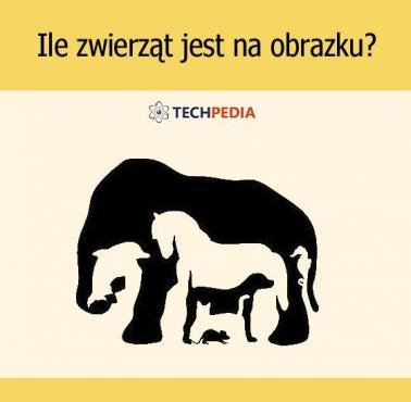 Ile zwierząt jest na obrazku?