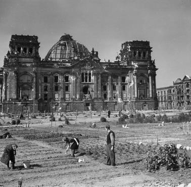 Berlińczycy sadzą ziemniaki tuż obok zniszczonego Reichstagu w 1946 roku