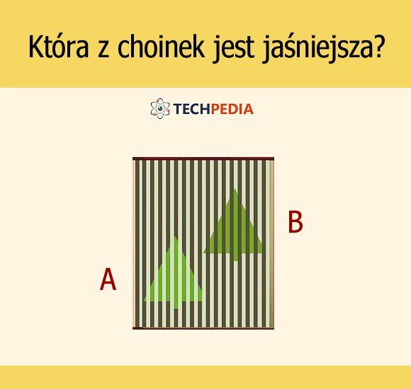 Która z choinek jest jaśniejsza?