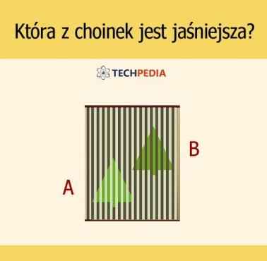Która z choinek jest jaśniejsza?