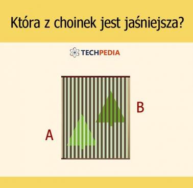 Która z choinek jest jaśniejsza?