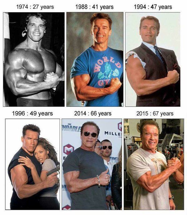 Arnold Alois Schwarzenegger – austriacko-amerykański aktor, kulturysta i polityk, gubernator stanu Kalifornia w latach 2003–2011