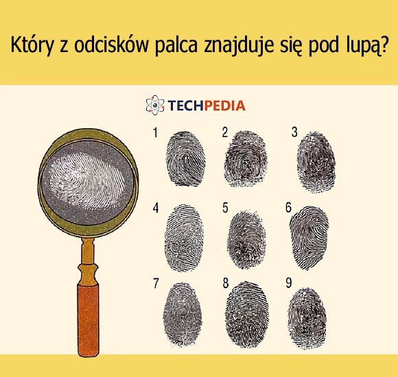 Który z odcisków palca znajduje się pod lupą?