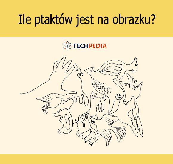 Ile ptaktów jest na obrazku?