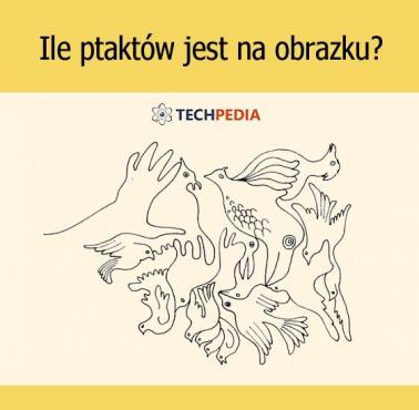 Ile ptaktów jest na obrazku?