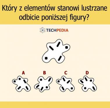 Który z elementów stanowi lustrzane odbicie poniższej figury?