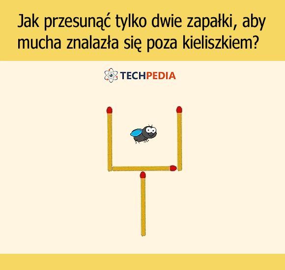 Jak przesunąć tylko dwie zapałki, aby mucha znalazła się poza kieliszkiem?
