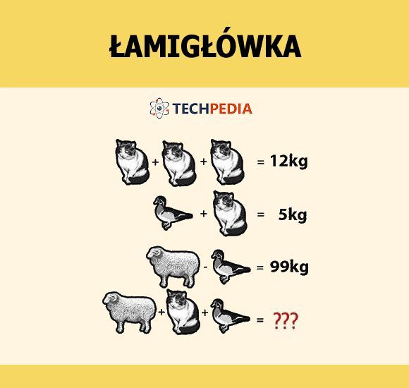 Jakie jest rozwiązanie łamigłówki?