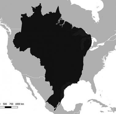 Mapa Brazylii naniesiona na mapę Ameryki Północnej