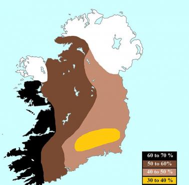 Procent mieszkańców Irlandii z ciemnymi i czarnymi włosami