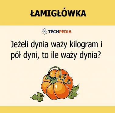 Jakie jest rozwiązanie łamigłówki?