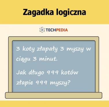 Jakie jest rozwiązanie zagadki?