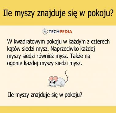 Ile myszy znajduje się w pokoju?