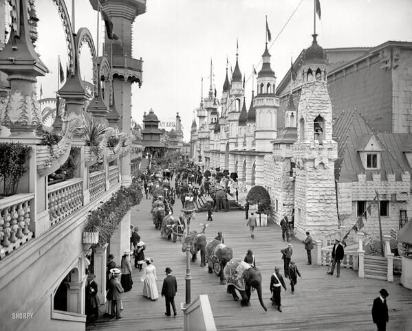 Parada słoni na Coney Island (Nowy Jork) w 1905 roku