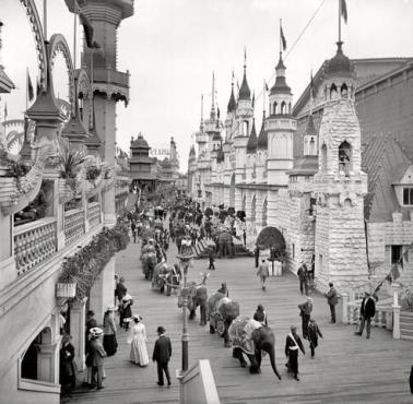 Parada słoni na Coney Island (Nowy Jork) w 1905 roku