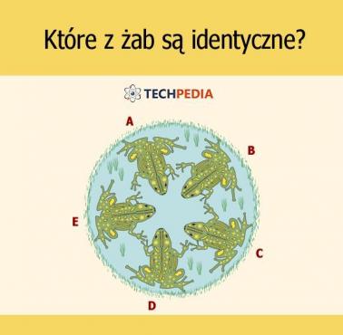 Które z żab są identyczne?