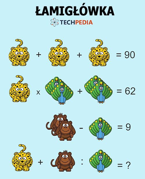 Jakie jest rozwiązanie łamigłówki?