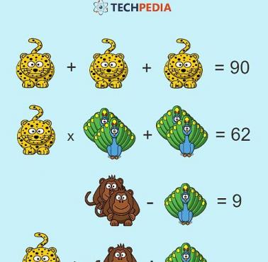 Jakie jest rozwiązanie łamigłówki?