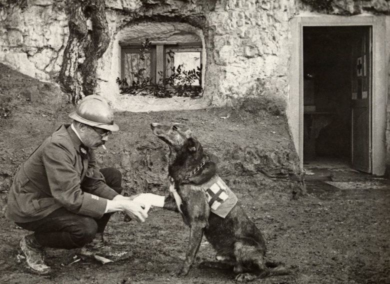 Na froncie I wojny światowej (Belgia)
