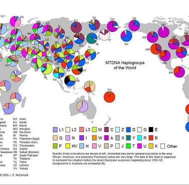 Przybliżone rozmieszczenie haplogrupy MTDNA - świat