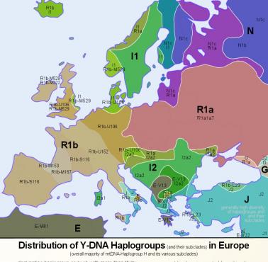 Przybliżone rozmieszczenie haplogrup Y-DNA - Europa
