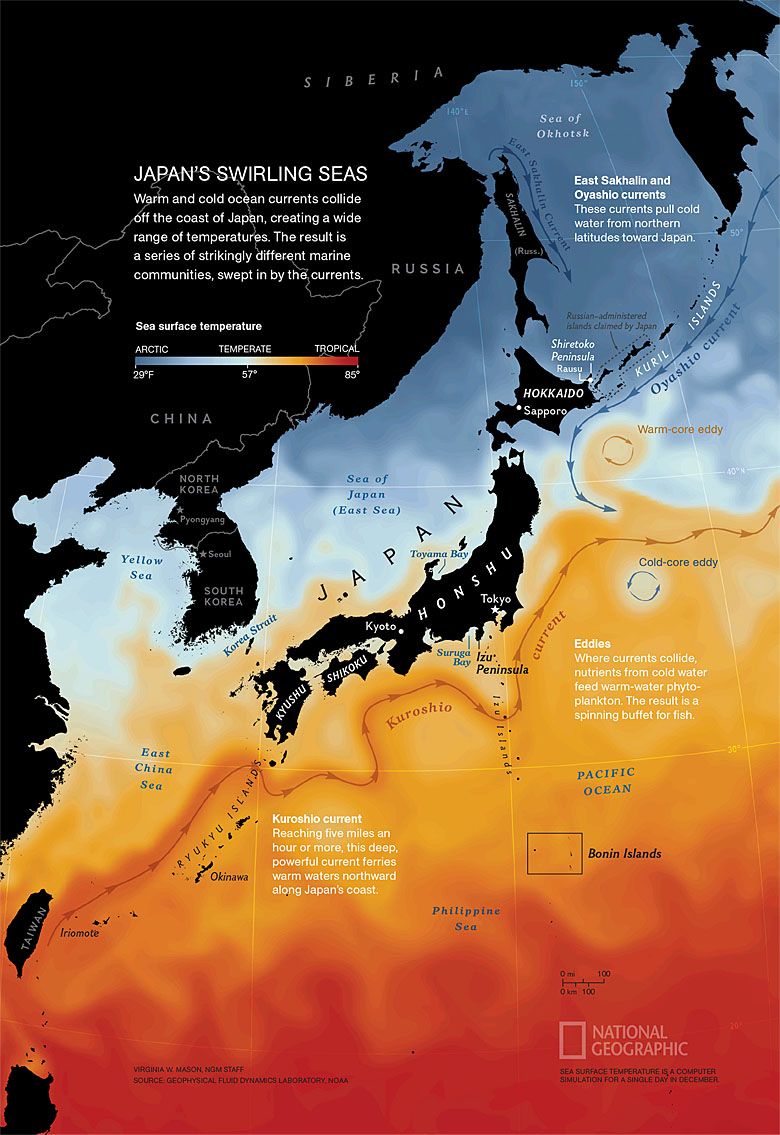 Temperatura mórz wokół Japonii