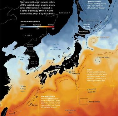 Temperatura mórz wokół Japonii