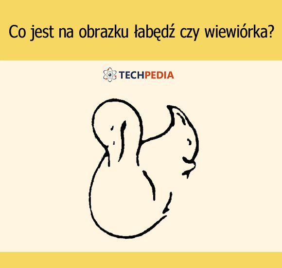 Co jest na obrazku łabędź czy wiewiórka?