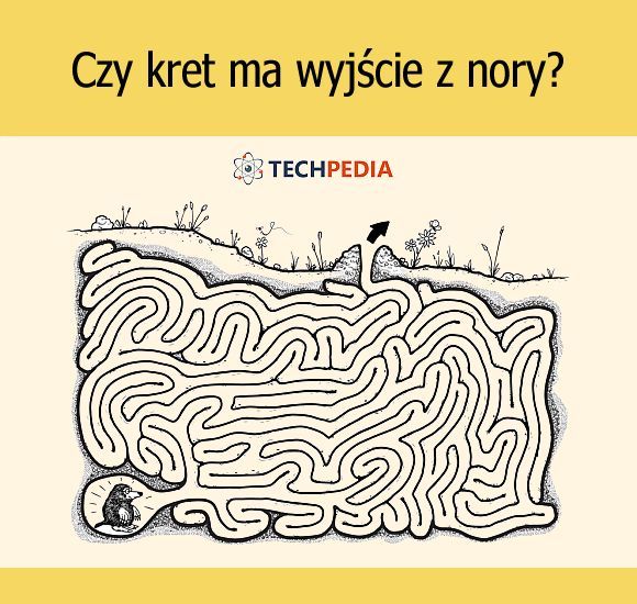 Czy kret ma wyjście z nory?