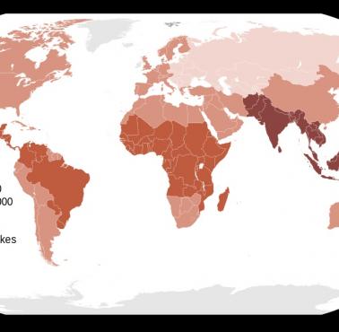 Liczba ukąszeń węży w poszczególnych państwach świata