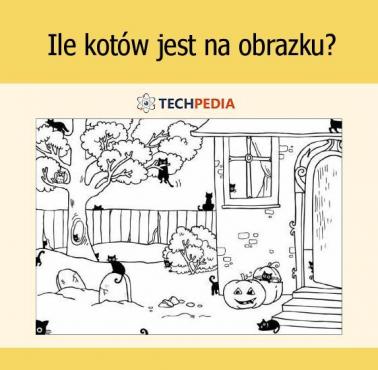 Ile kotów jest na obrazku?