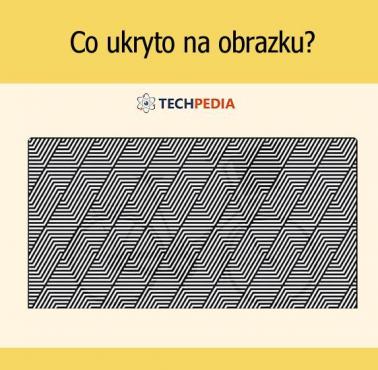 Co ukryto na obrazku?