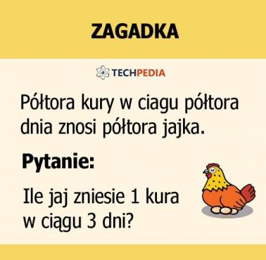 Jakie jest rozwiązanie zagadki?