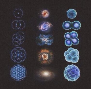 Piękno matematyki, astronomii i biologii