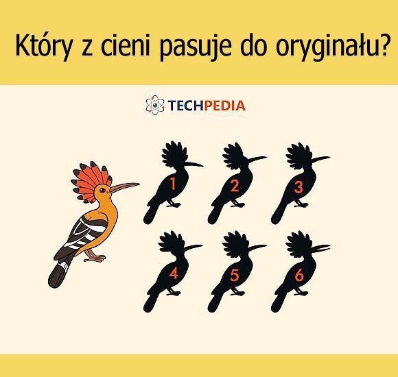 Który z cieni pasuje do oryginału?