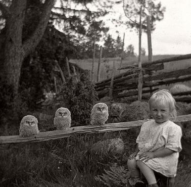 Szwedzka dziewczyna i trzy małe sówki, 1925