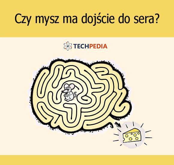 Czy mysz ma dojście do sera?